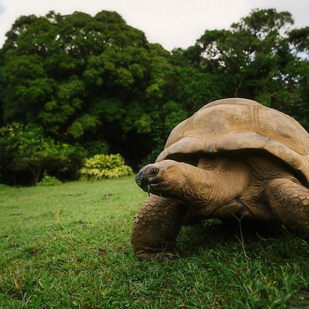 Ferney Nature Lodge Mahébourg Dış mekan fotoğraf