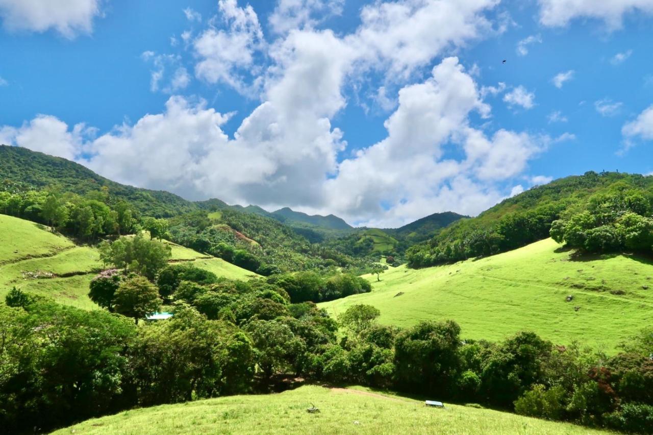 Ferney Nature Lodge Mahébourg Dış mekan fotoğraf